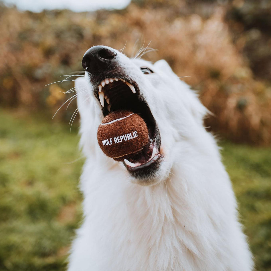 Tennis sales ball teeth