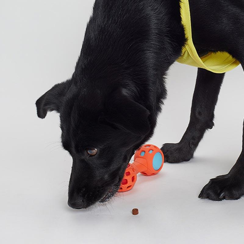 dog interactive treat dispensing toy dog