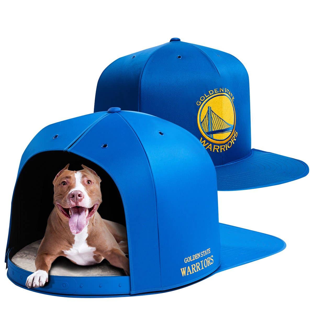 golden state warriors dogs