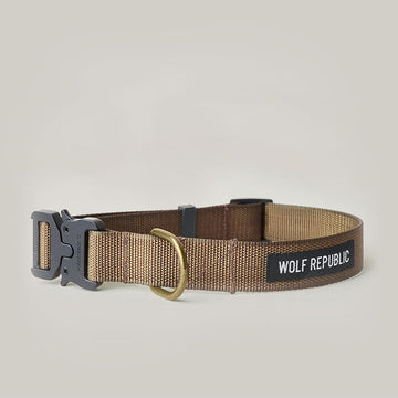 Scout Collar - Whiskey