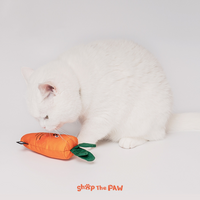 Jeju Carrot Cat Toy