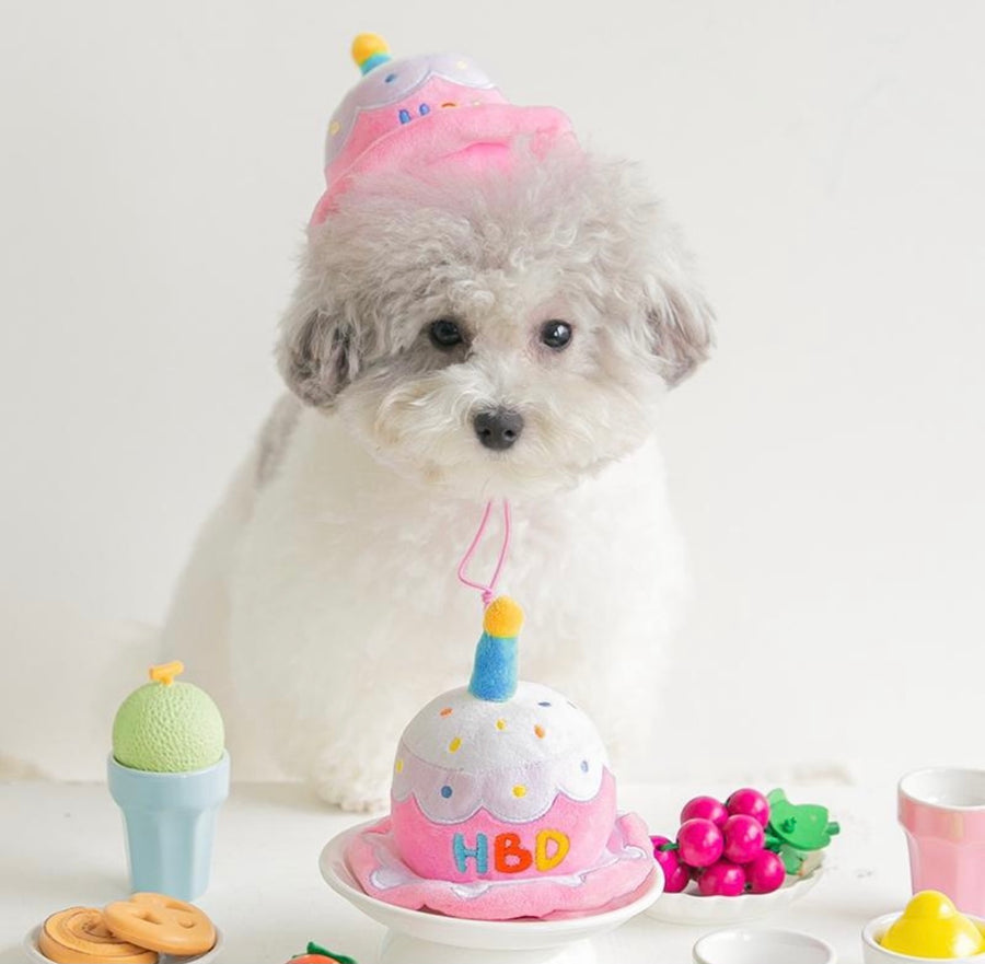 Party Hat Plush Dog Toy