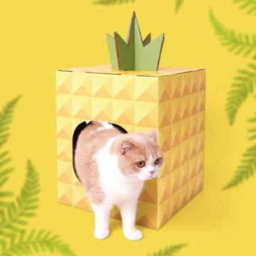 菠萝房猫抓板