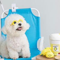 Second Morning Lemonade Nose Work Dog Toy