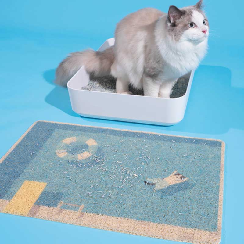 Summer Pool Cat Litter Mat