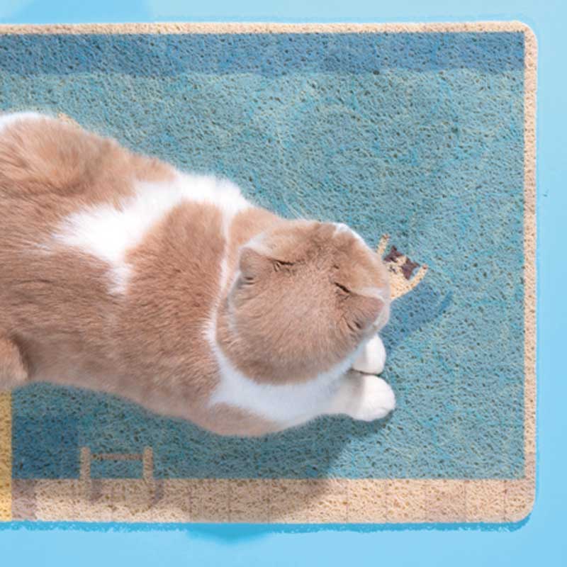Summer Pool Cat Litter Mat
