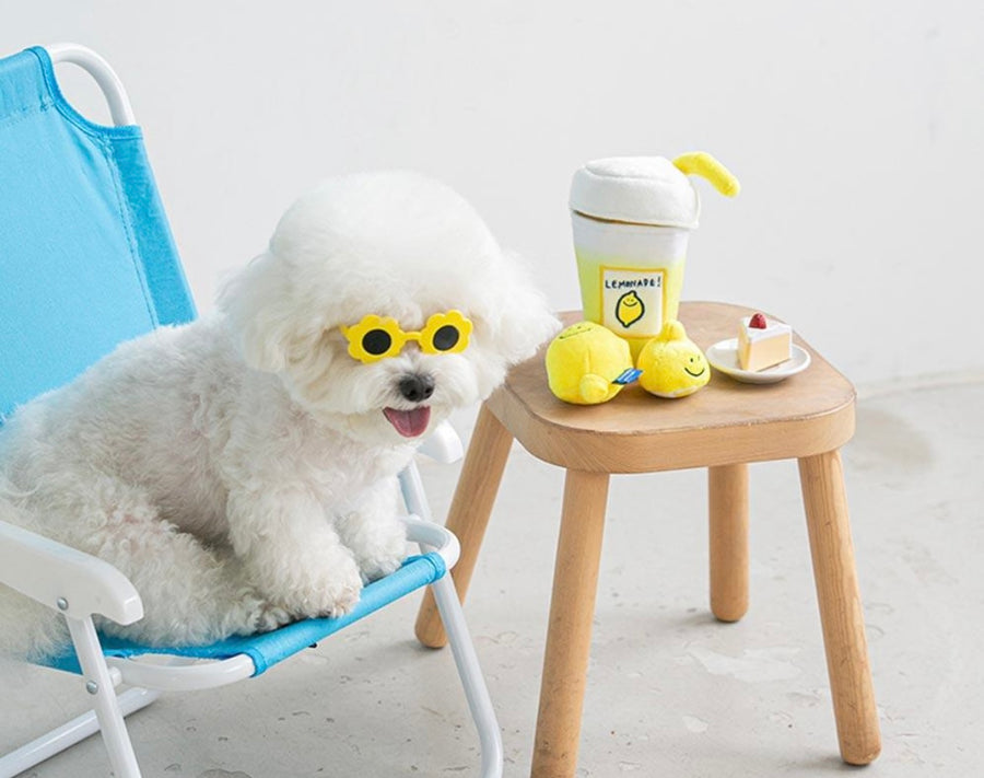 Second Morning Lemonade Nose Work Dog Toy