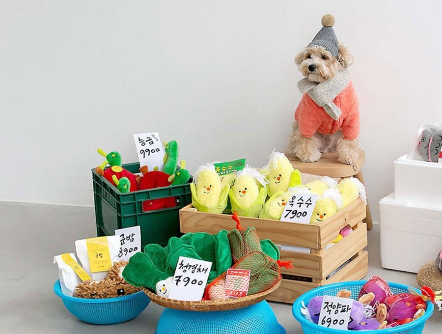 犬类-青菜玩具