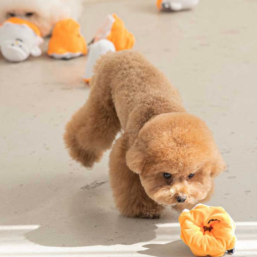 犬类-幽灵嗅觉训练玩具