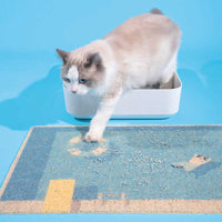 夏季泳池猫砂垫
