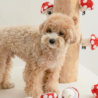 犬类-蘑菇嗅觉训练玩具