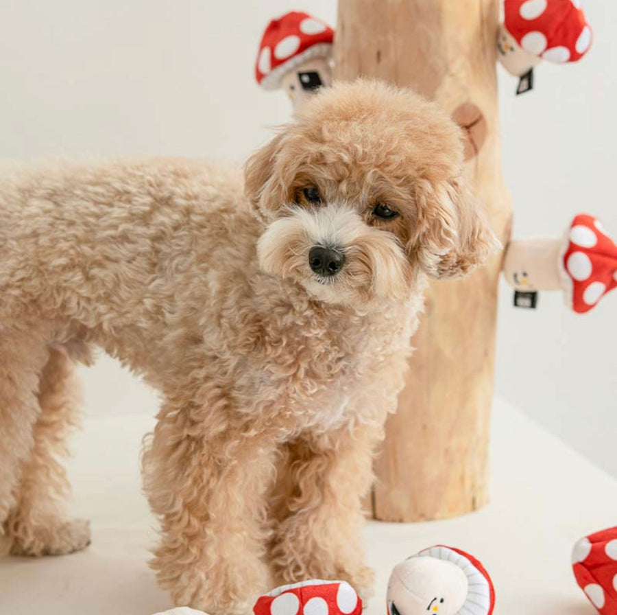 Mushroom Nose Work Dog Toy